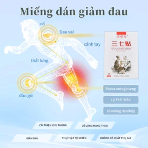 20 miếng/hộp Miếng dán giảm đau Panax notoginseng giúp giảm đau cổ, vai, eo, chân, khớp và cơ